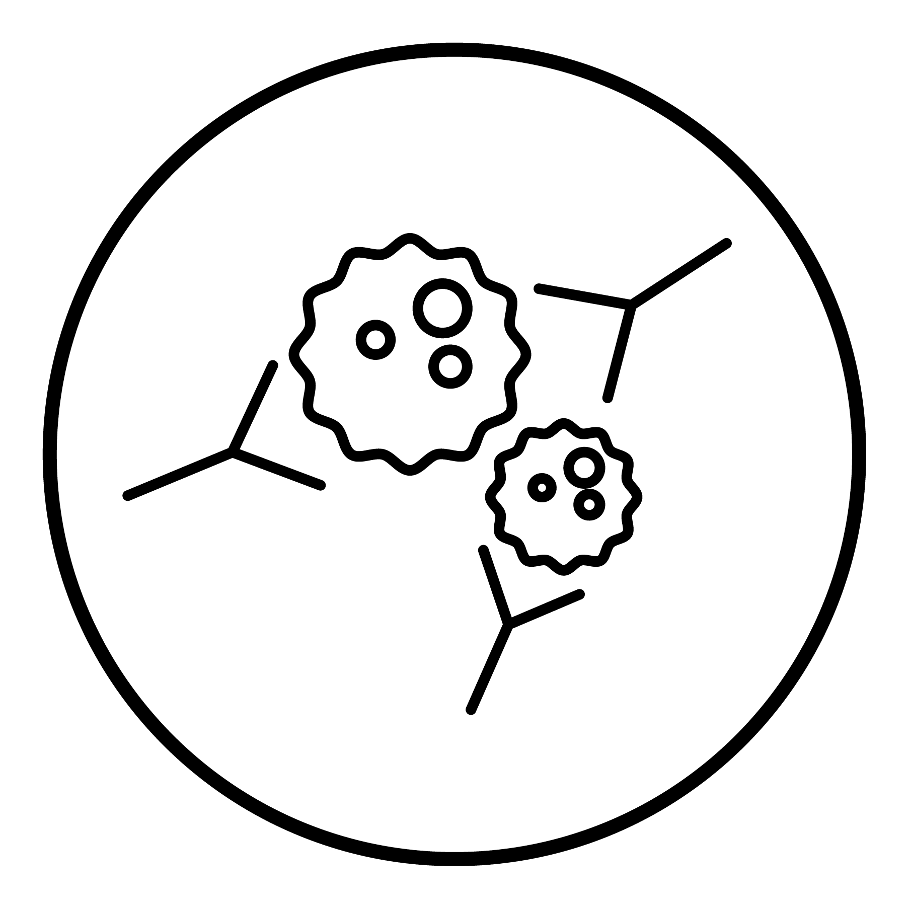 Lyophilized Powder